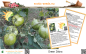 Preview: Tomate * Green Zebra * 25-250 Samen